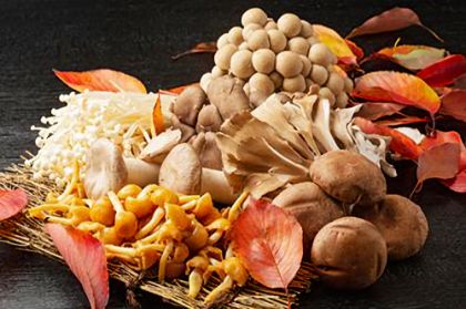 Funghi buoni e sicuri con l'Ispettorato micologico di Crema