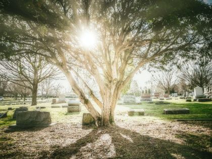 Cimiteri