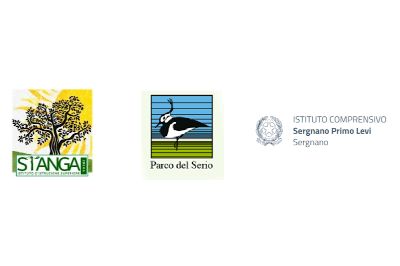2023-11-17-festa-dell-albero