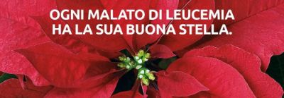 Ail 08.12.2023-banner